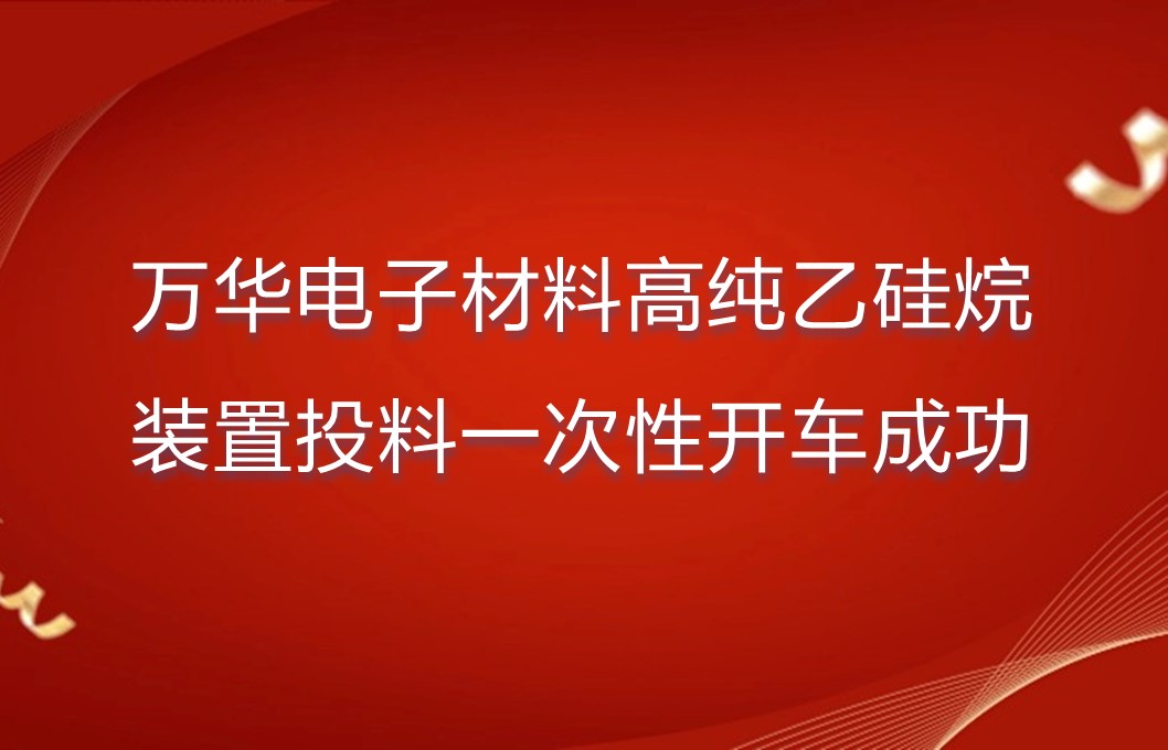 万华电子材料高纯乙硅烷装置投料一次性开车成功
